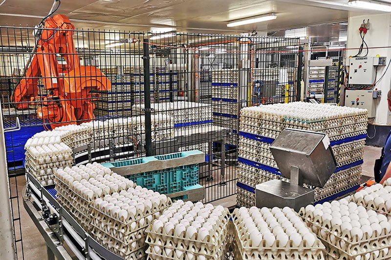 Come and work at Interovo Egg Group