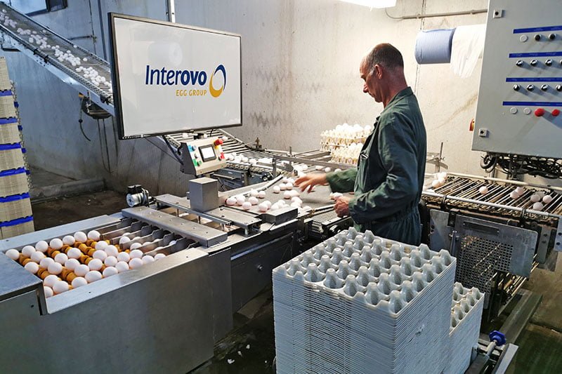 Vacature Pluimvee medewerker